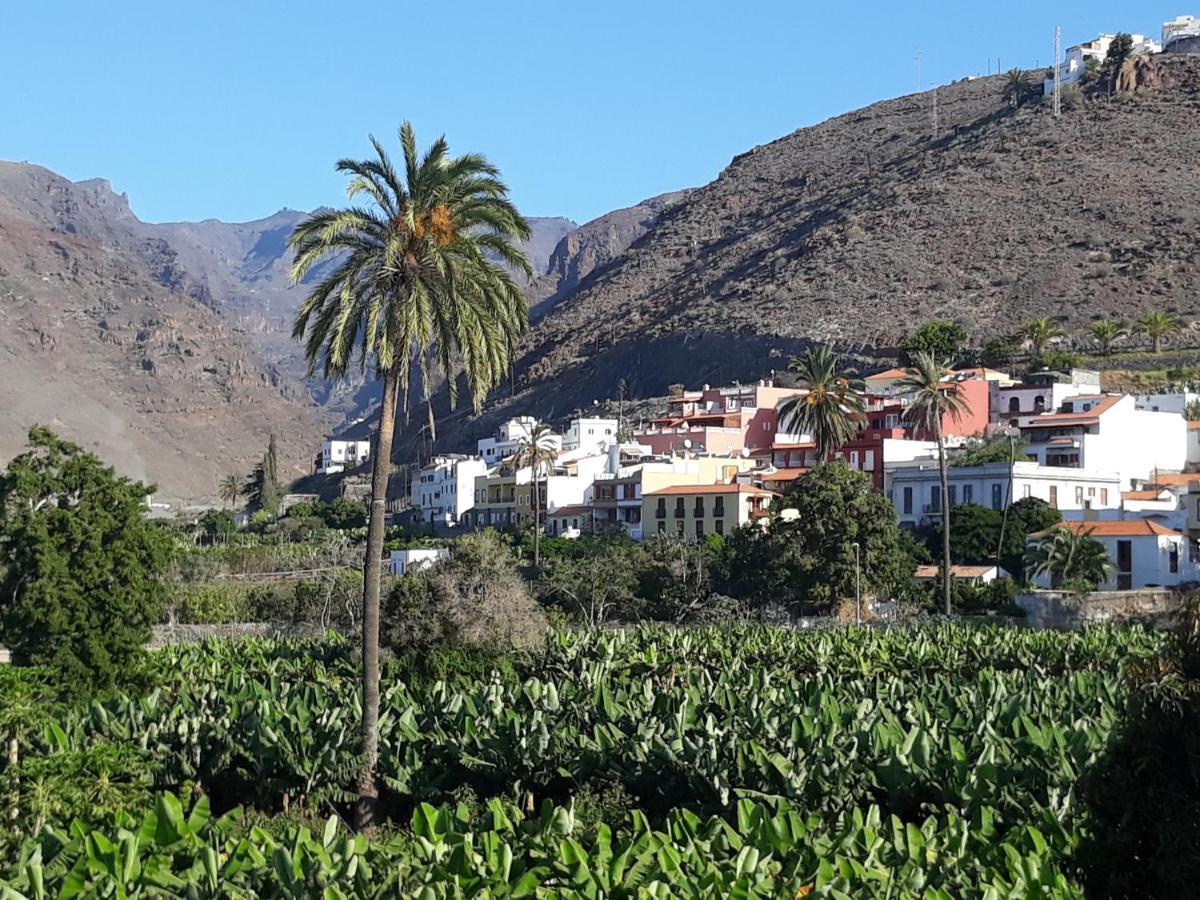 Los Olivos 圣地亚哥海滩 外观 照片