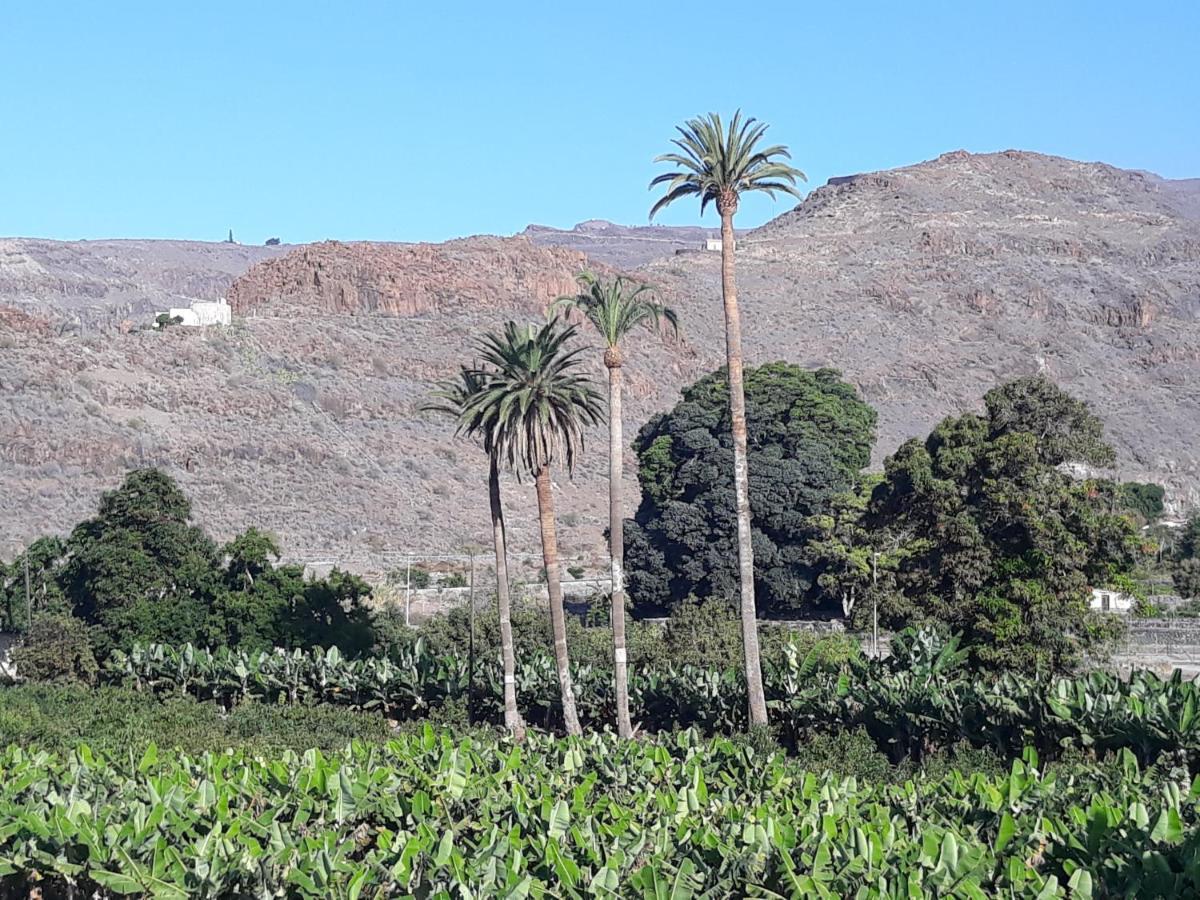 Los Olivos 圣地亚哥海滩 外观 照片