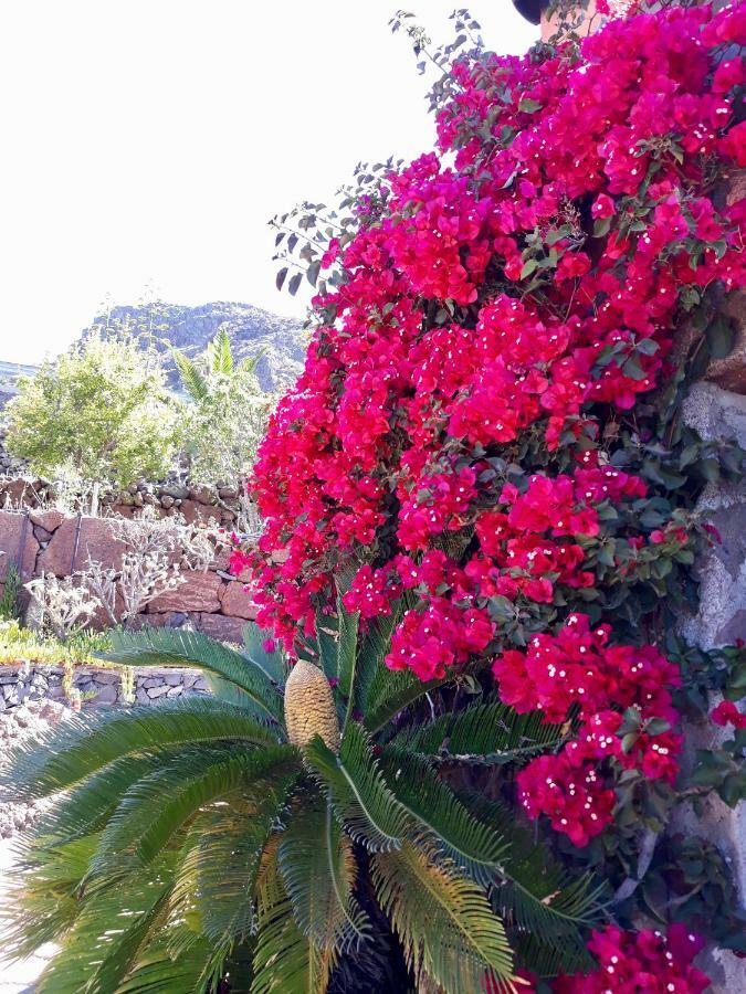 Los Olivos 圣地亚哥海滩 外观 照片